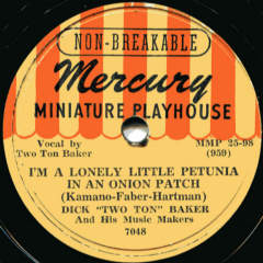 Lonely Little Petunia record label